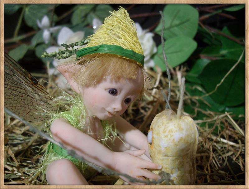 Baby Fairie Peo & Nut